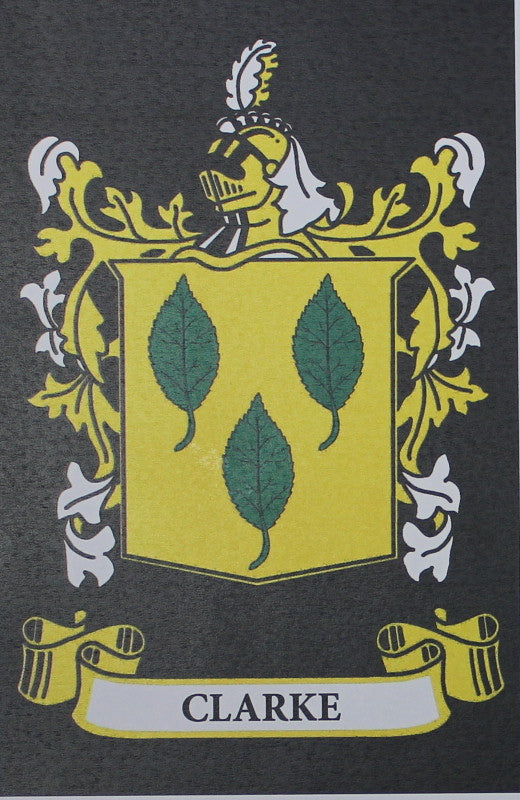 Clarke - Irish Surname Coat of Arms Family Crest Heraldry