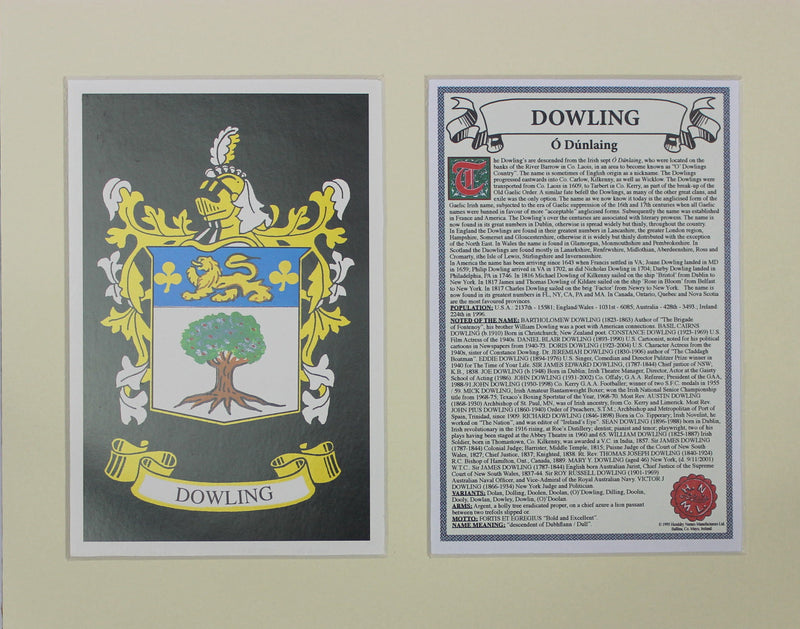 Dowling - Irish American Surname Heraldry