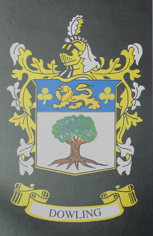 Dowling - Irish Surname Coat of Arms Family Crest Heraldry