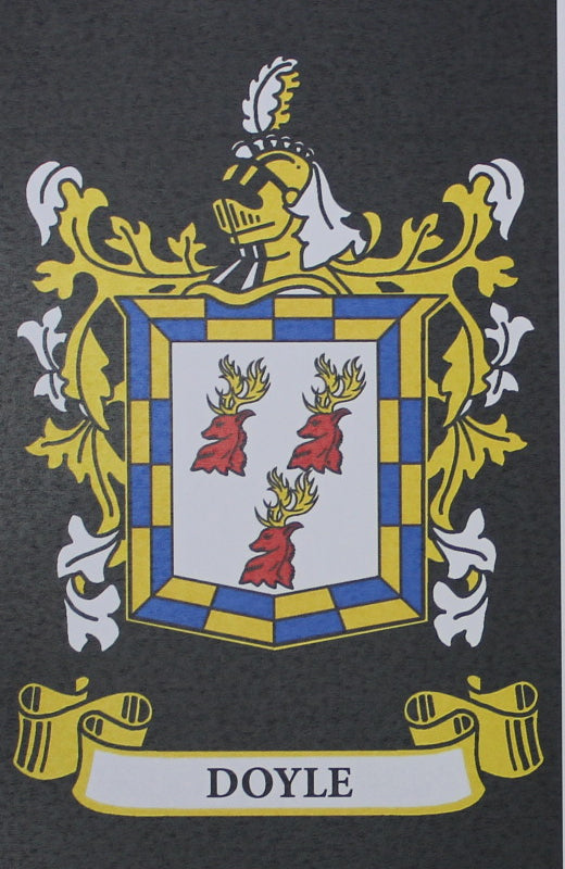 Doyle - Irish Surname Coat of Arms Family Crest Heraldry