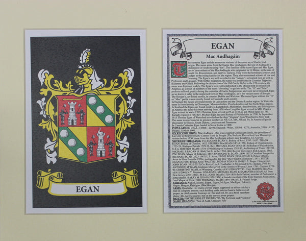 Egan - Irish American Surname Heraldry