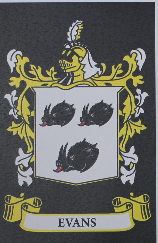 Evans - Irish American Surname Coat of Arms Heraldry