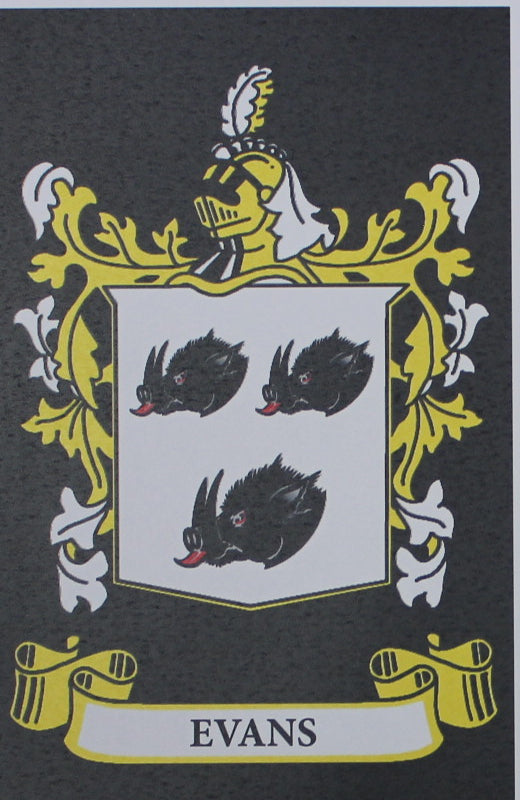 Evans - Irish Surname Coat of Arms Family Crest Heraldry