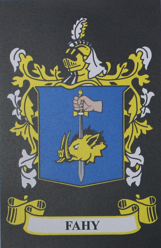 Fahy - Irish Surname Coat of Arms Family Crest Heraldry