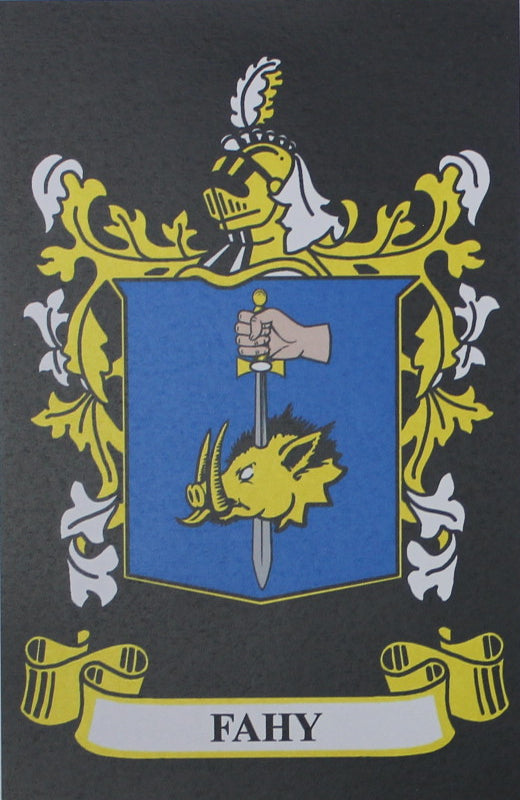 Fahy - Irish American Surname Coat of Arms Heraldry