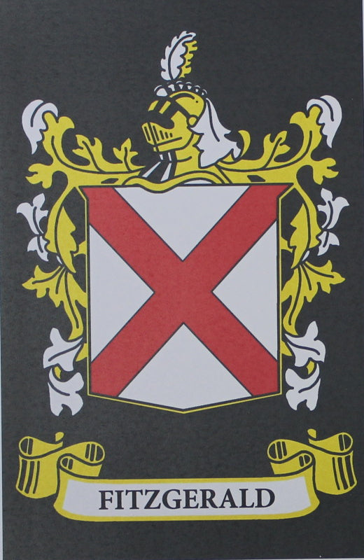 Fitzgerald - Irish American Surname Coat of Arms Heraldry