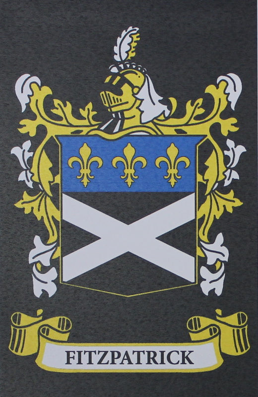 Fitzpatrick - Irish American Surname Heraldry