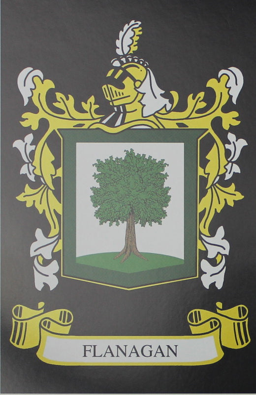 Flanagan - Irish Surname Coat of Arms Family Crest Heraldry