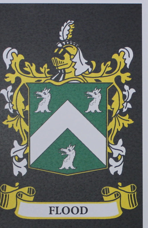 Flood - Irish Surname Coat of Arms Family Crest Heraldry