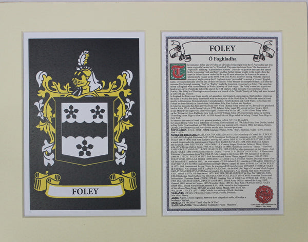 Foley - Irish American Surname Heraldry