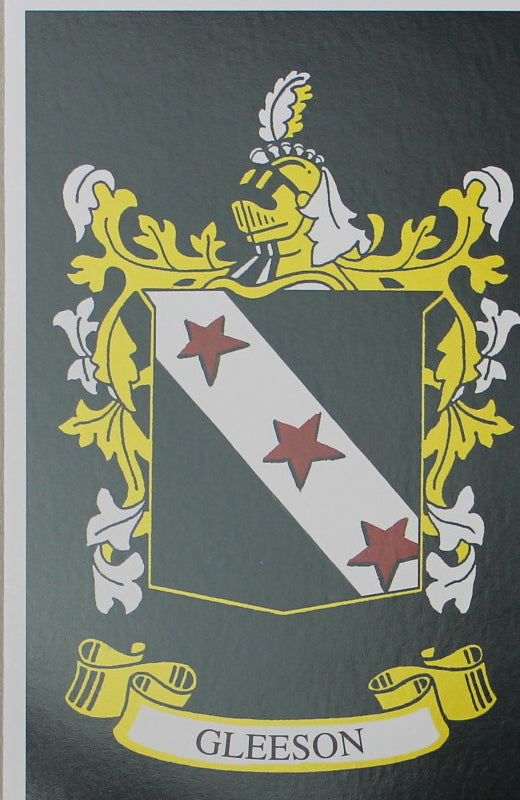 Gleeson - Irish American Surname Heraldry