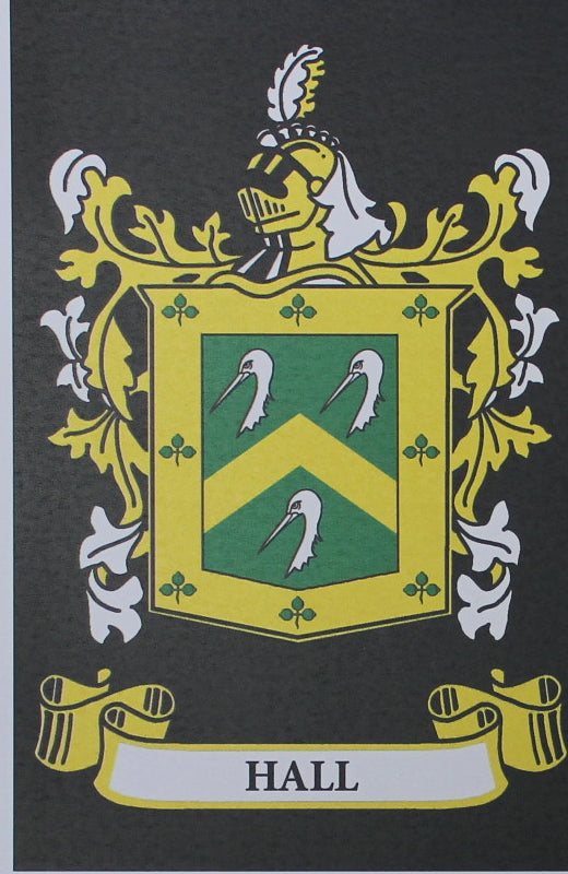 Hall - Irish Surname Coat of Arms Family Crest Heraldry