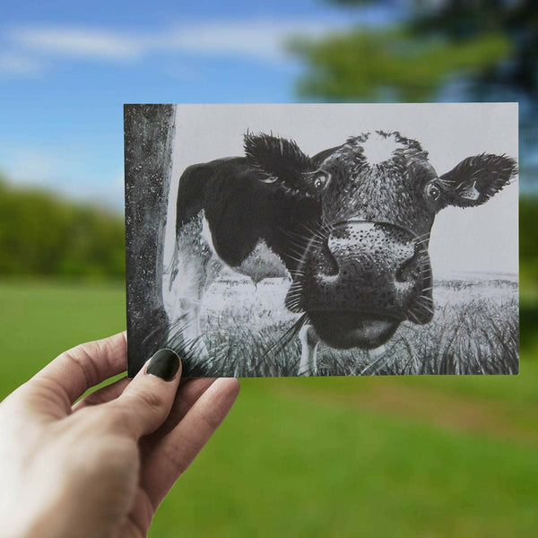 Peek A Moo – The Greeting Card