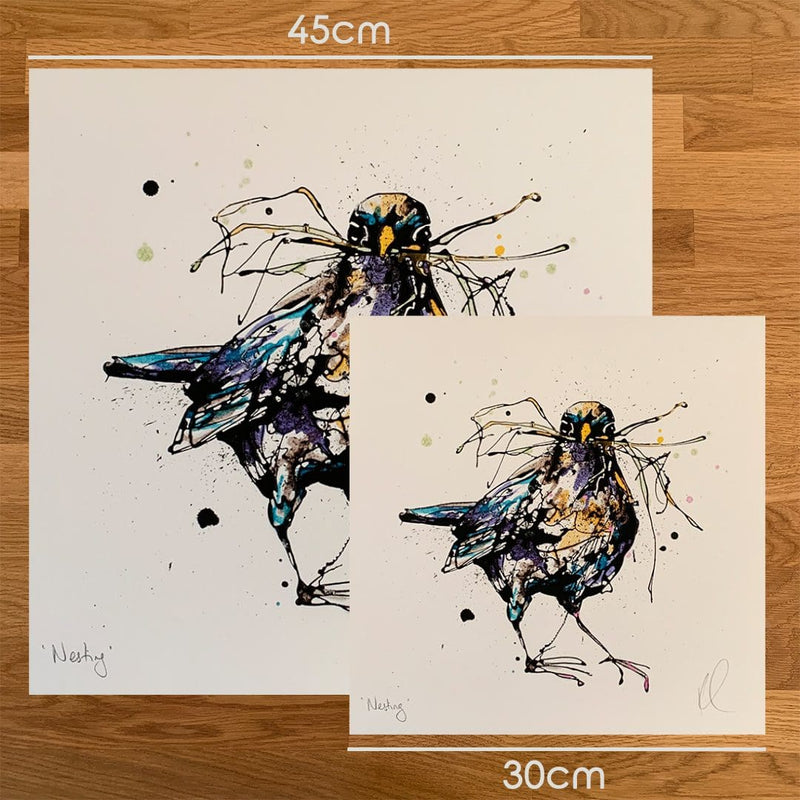 Nesting - Blackbird Print with Size and Presentation Options