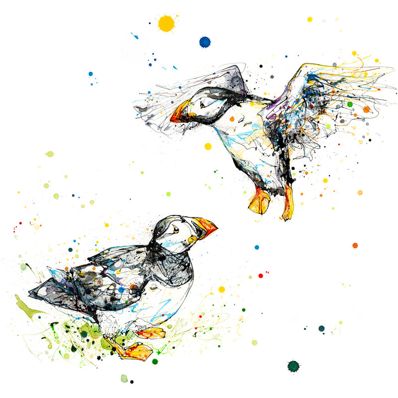 Once in a Lifetime - Atlantic Puffin Print with Size and Presentation Options