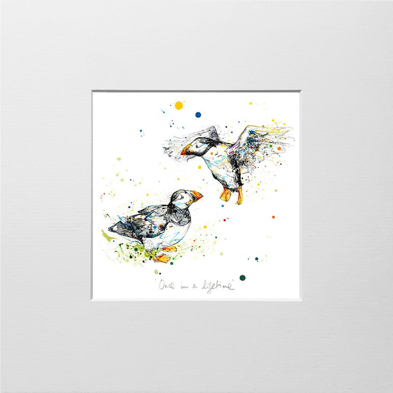 Once in a Lifetime - Atlantic Puffin Print with Size and Presentation Options