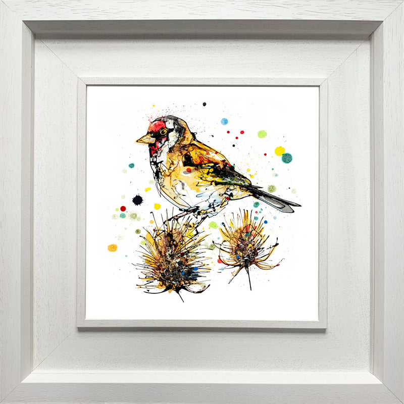 Sundown - Goldfinch Print with Size and Presentation Options