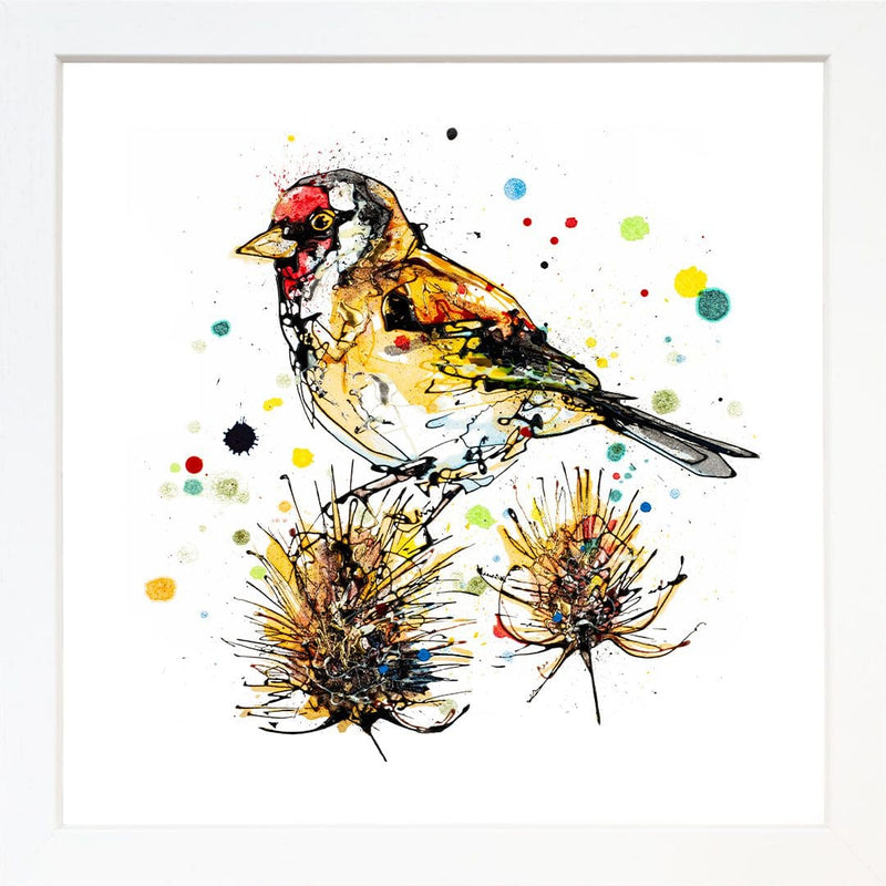 Sundown - Goldfinch Print with Size and Presentation Options