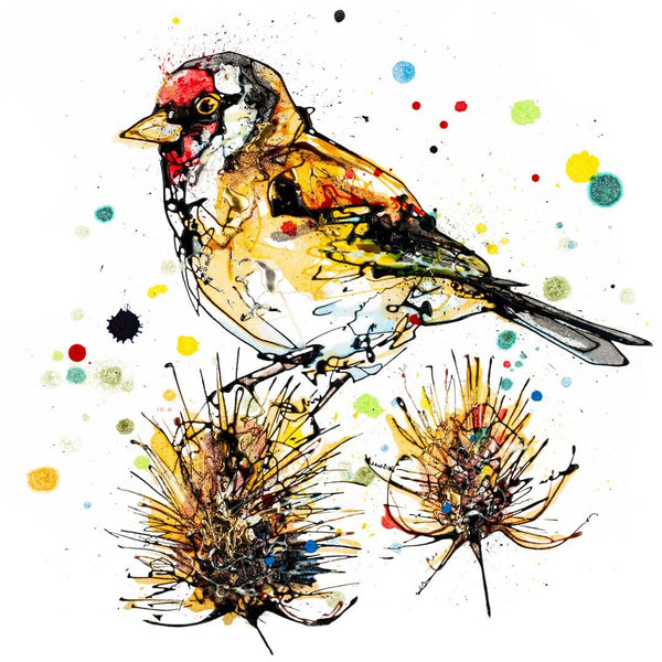 Sundown - Goldfinch Print with Size and Presentation Options