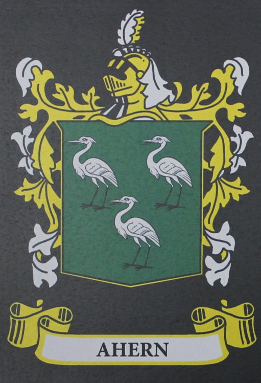 Ahern - Irish American Surname Coat of Arms Family Crest Heraldry