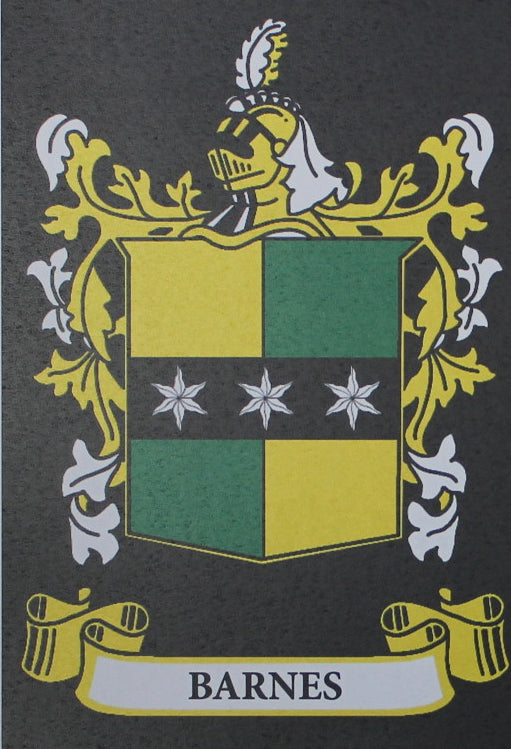 Barnes - Irish Surname Coat of Arms Family Crest Heraldry