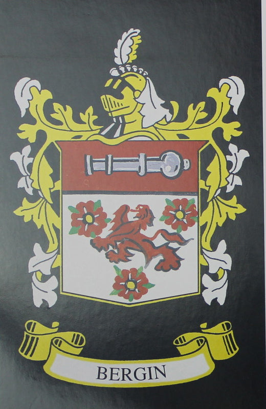 Bergin - Irish Surname Coat of Arms Heraldry
