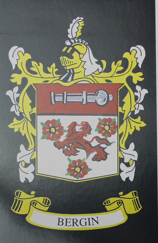 Bergin - Irish Surname Coat of Arms Family Crest Heraldry