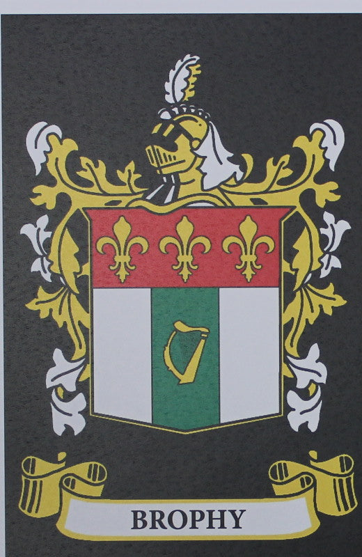 Brophy - Irish Surname Coat of Arms Family Crest Heraldry