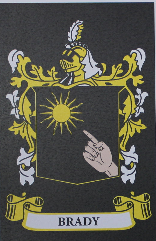 Brady - Irish Surname Coat of Arms Family Crest Heraldry