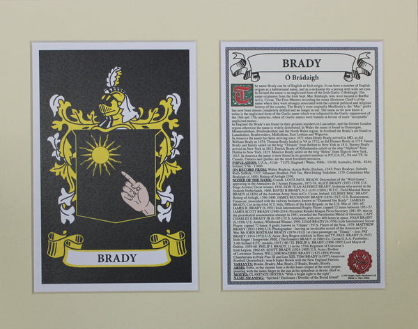 Brady - Irish American Surname Heraldry