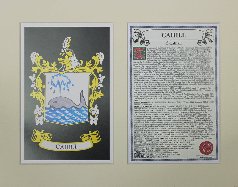 Cahill - Irish American Surname Heraldry