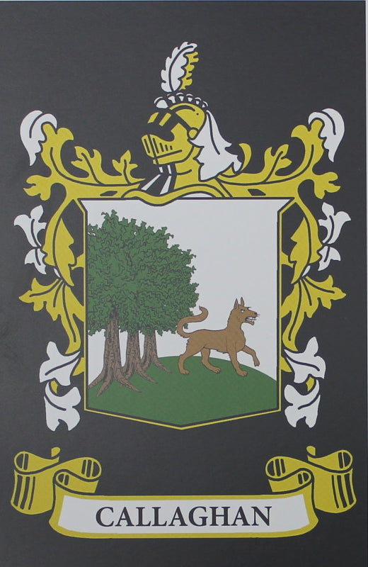 Callaghan - Irish Surname Coat of Arms Family Crest Heraldry