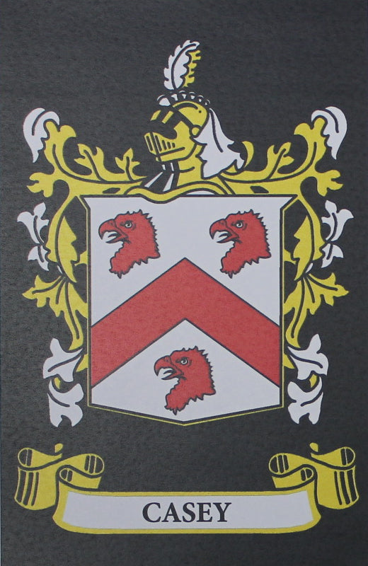 Casey - Irish American Surname Coat of Arms Family Crest Heraldry