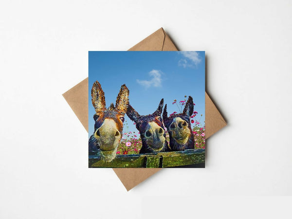 The Three Amigos – The Greeting Card