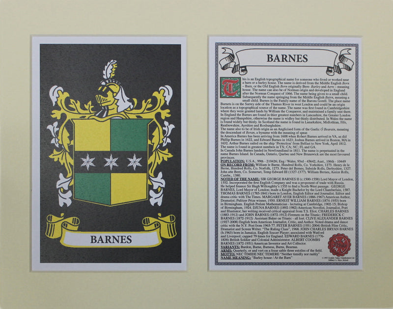 Barnes - Irish Surname Coat of Arms Family Crest Heraldry