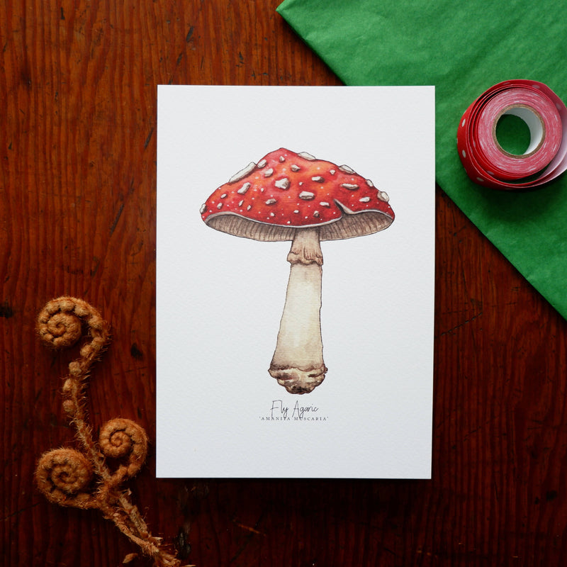 Fly Agaric A5 Art Print