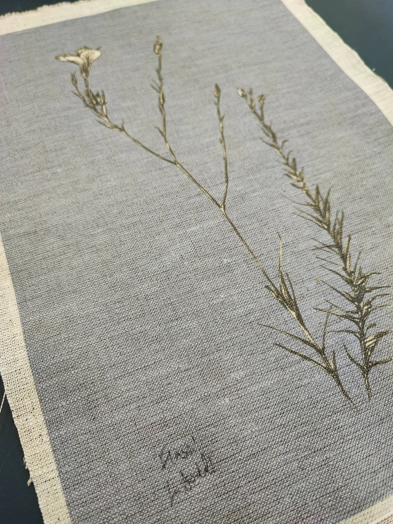 'Flax' on Irish Linen