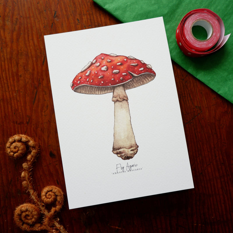 Fly Agaric A5 Art Print