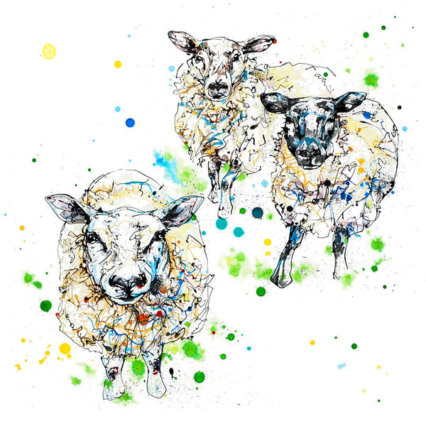All Ears - Limited Edition Sheep Print