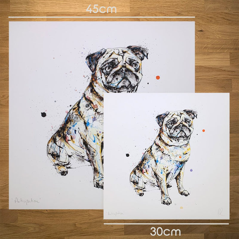 Anticipation - Pug Print with Size and Presentation Options