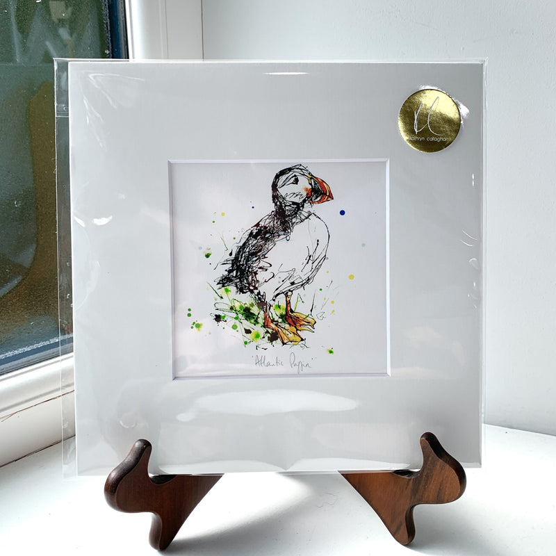Atlantic Puffin - Puffin Print with Size and Presentation Options