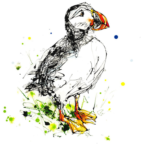 Atlantic Puffin - Puffin Print with Size and Presentation Options