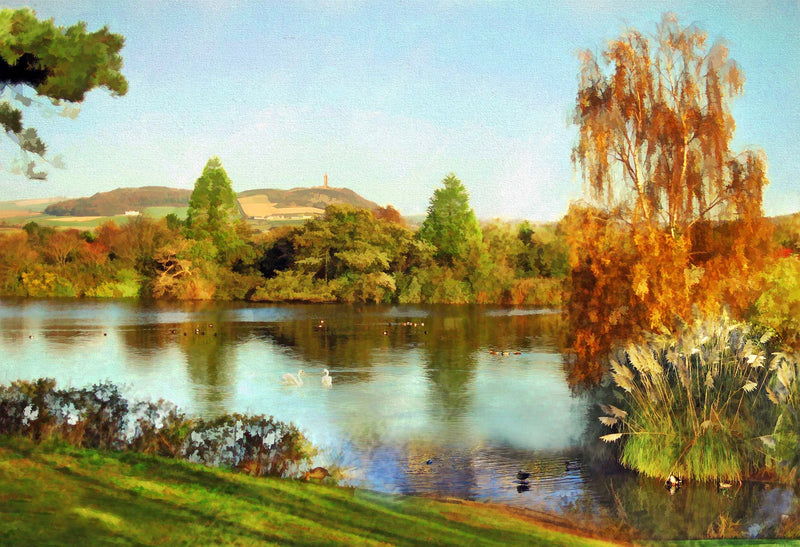 Autumn, Castle Espie