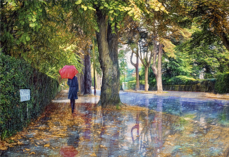 Autumn Shower, Cyprus Avenue