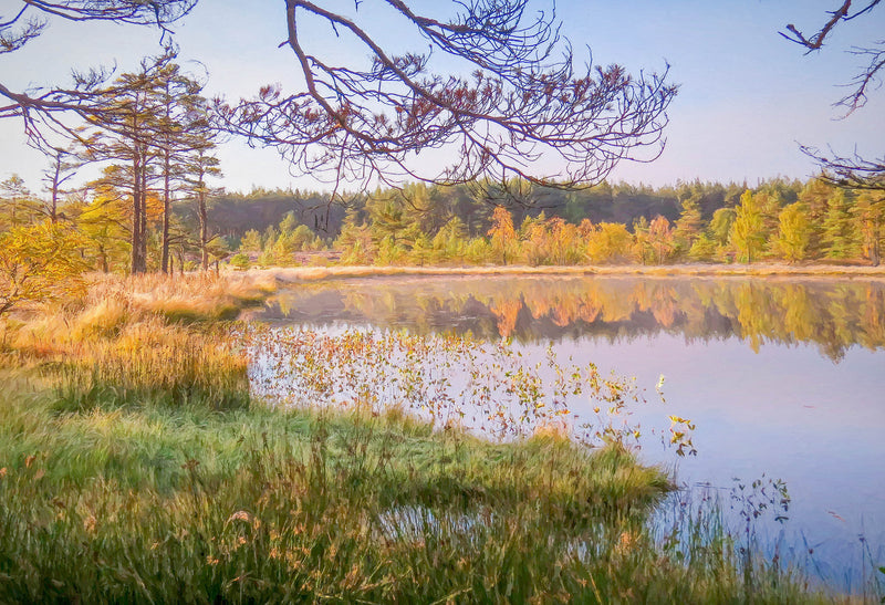 Autumn by the lochan