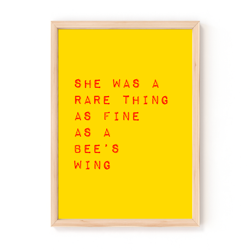 Bee's Wing by Christy Moore A4 Lyrics Print