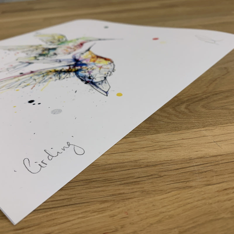 Circling - Hummingbird Print with Size and Presentation Options