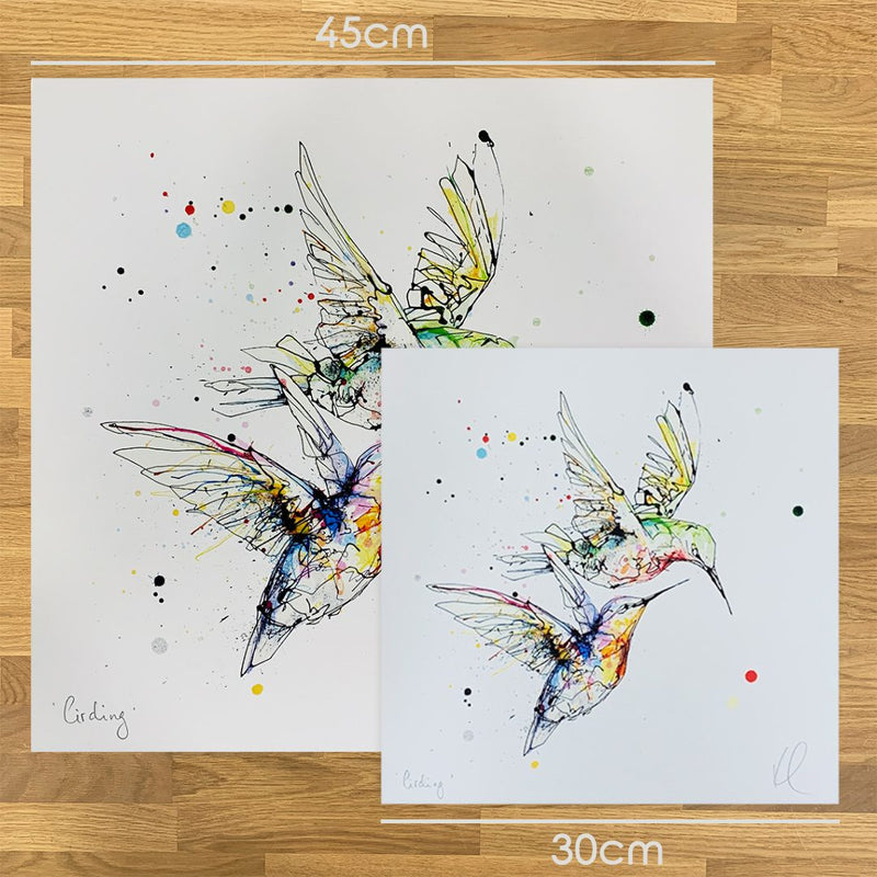 Circling - Hummingbird Print with Size and Presentation Options