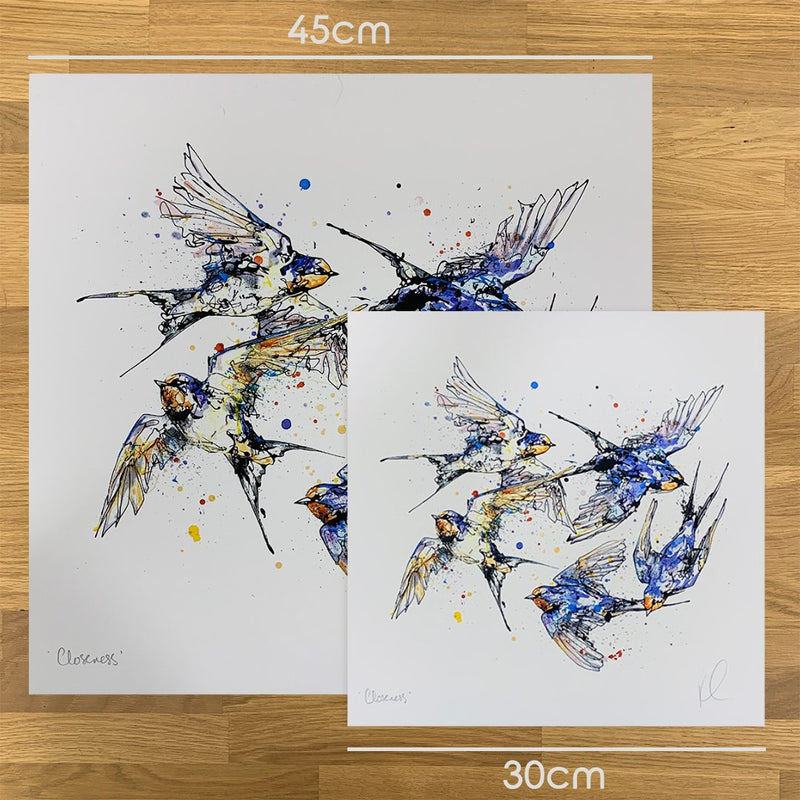 Closeness - Swallows Print with Size and Presentation Options