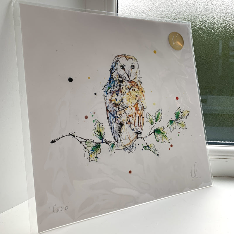 Curio - Barn Owl Print, 30x30cm with Size and Presentation Options